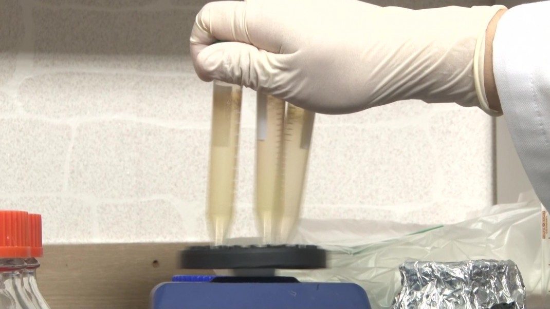 28f742f73e66a2714cde2836816fdef1_1499060290_29.jpg 28f742f73e66a2714cde2836816fdef1_1499060290_29.jpg