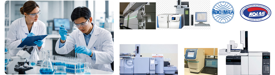 Witness 평가 & Validation