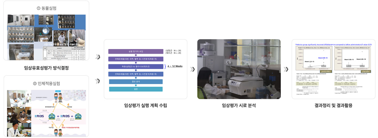 Witness 평가 & Validation
